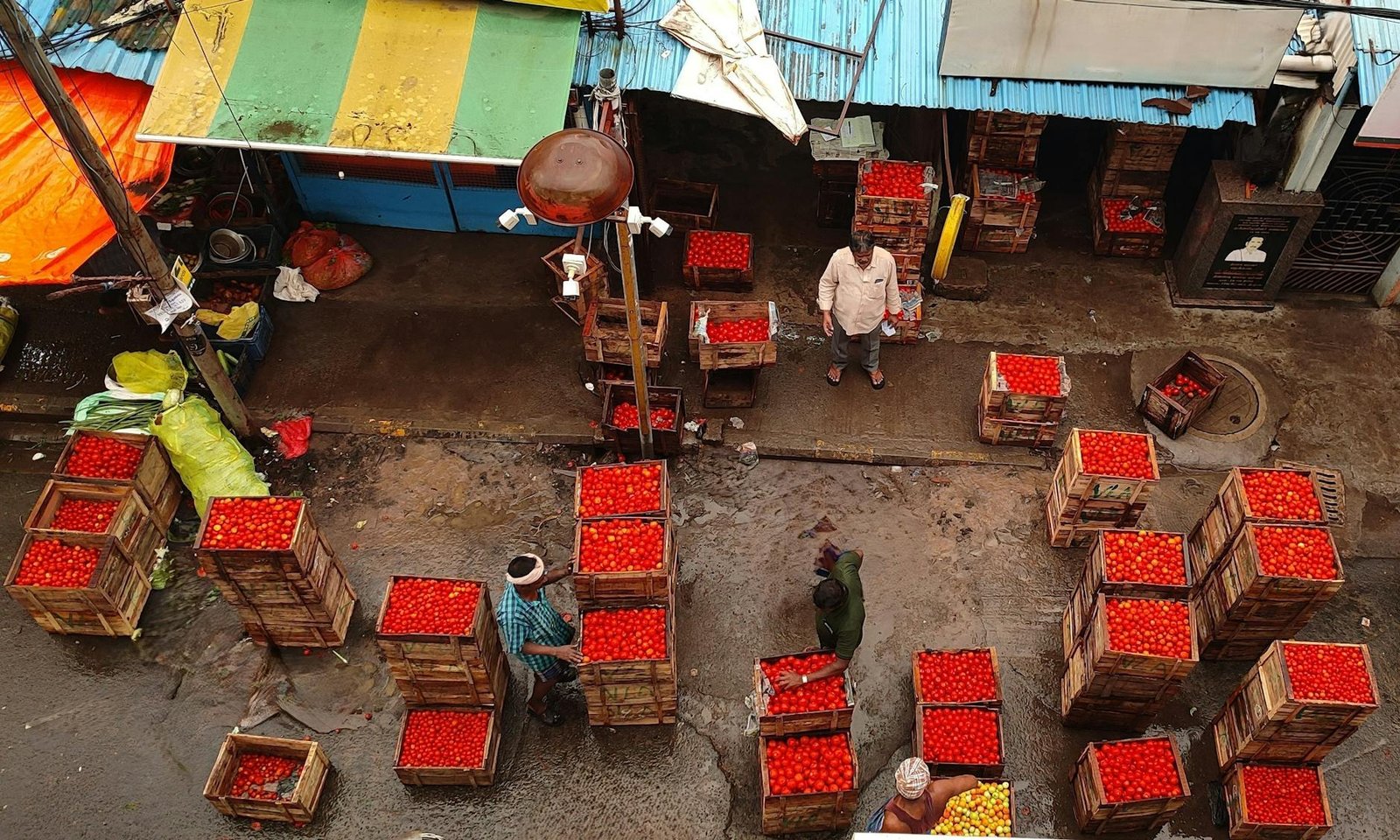 High-angle shot of a bustling outdoor tomato market in Chennai, India.