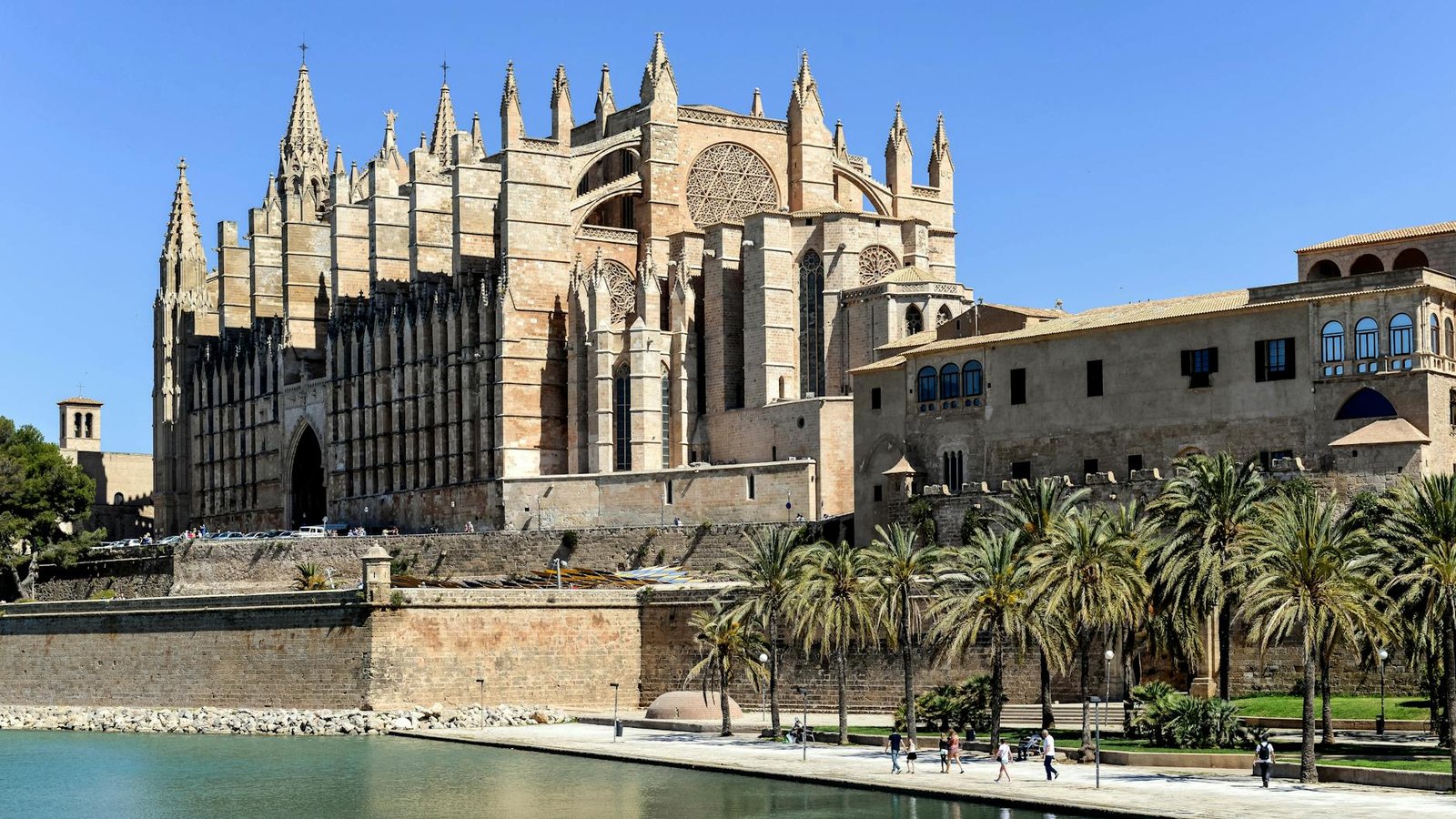 Gothic architecture of La Seu Cathedral in Palma, Mallorca with palm trees under clear blue sky.