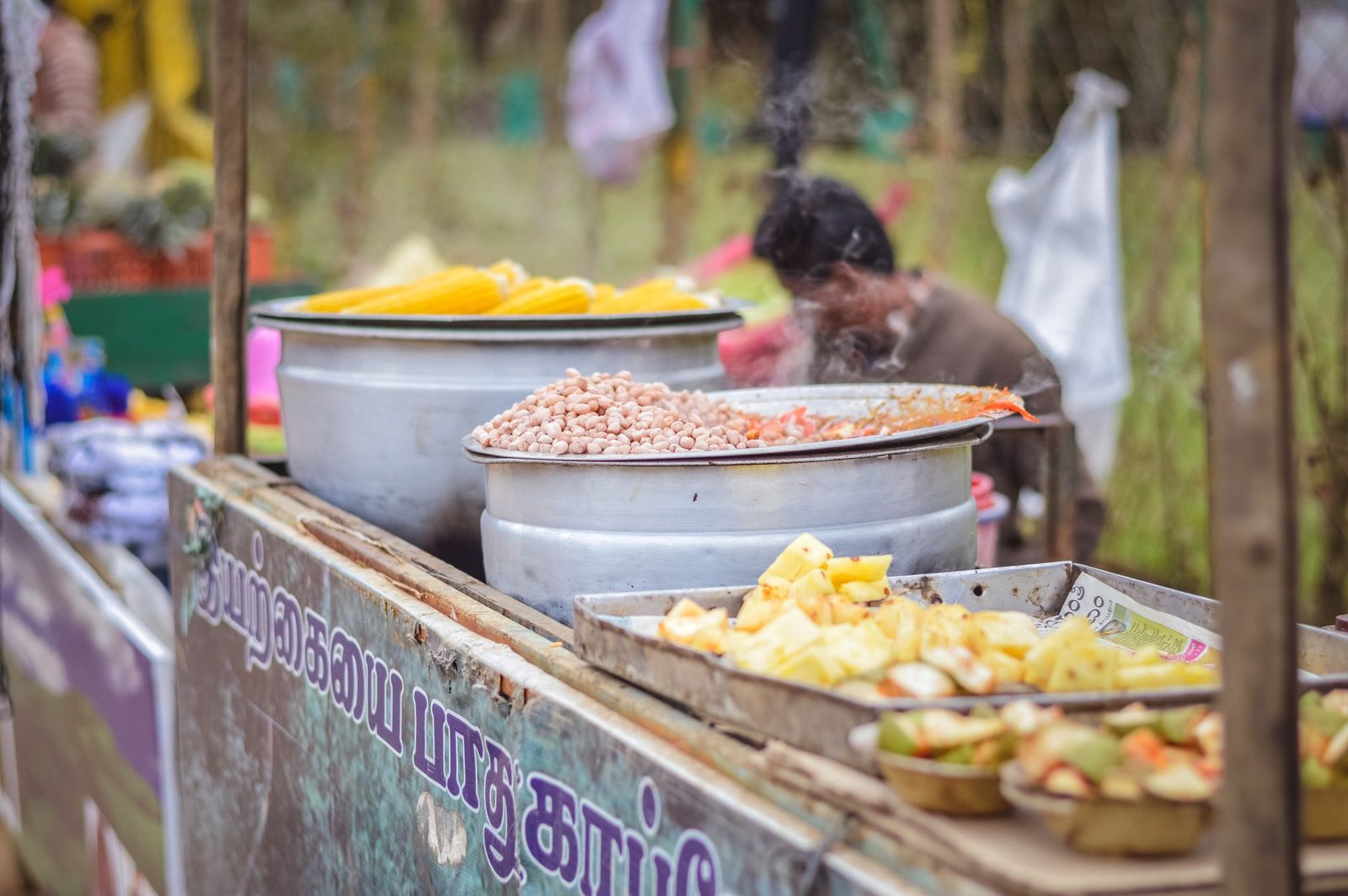 India for Vegans: The Best Plant-Based Food Travel Guide